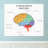 Menselijke hersenanatomie canvas afdruk (Insitu (Houten vloer))