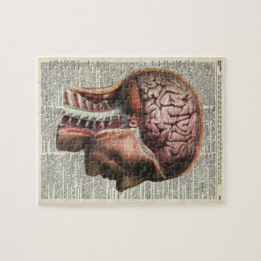 Menselijke hersenanatomie legpuzzel (Horizontaal)