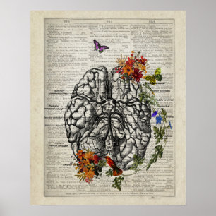 Menselijke Hersenanatomie met Bloemen Vlinders Poster