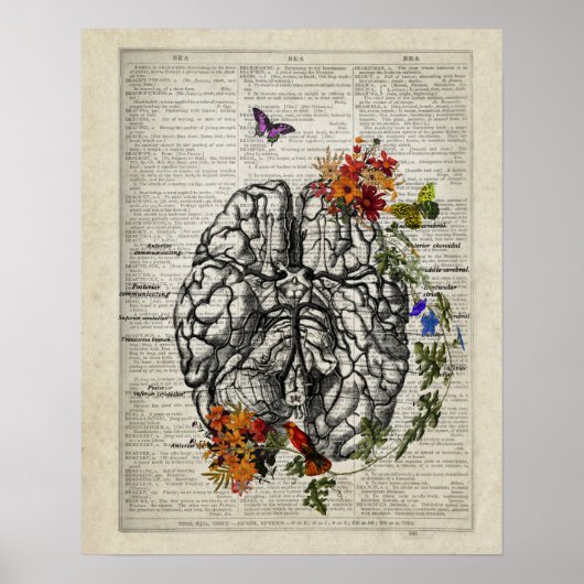 Menselijke Hersenanatomie met Bloemen Vlinders Poster (Voorkant)