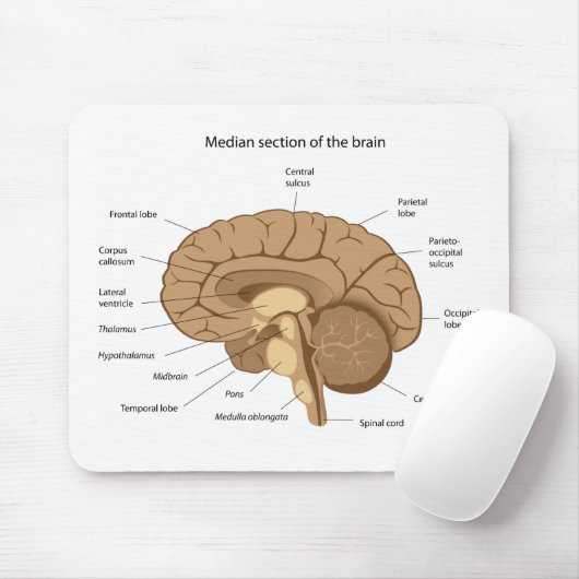 Menselijke hersenanatomie Mousepad Muismat (Met muis)