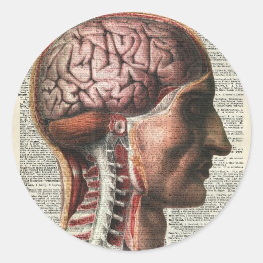 Menselijke hersenanatomie ronde sticker (Voorkant)