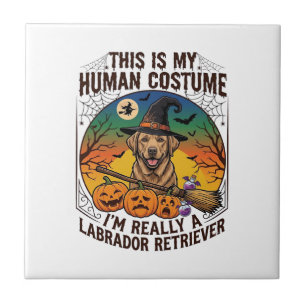 Menselijke Kostuum Labrador Retriever Halloween He Tegeltje