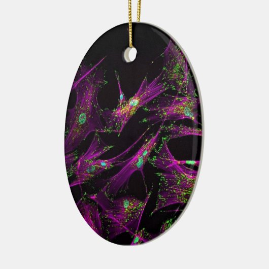 Menselijke longfibroblasten keramisch ornament (Links)