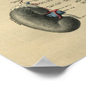 Menselijke nieranatomie 1902  afdrukken poster (Hoek)