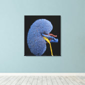 Menselijke niercirculatie canvas afdruk (Insitu (Houten vloer))