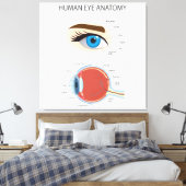 Menselijke ooganatomie canvas afdruk (Insitu (Slaapkamer))