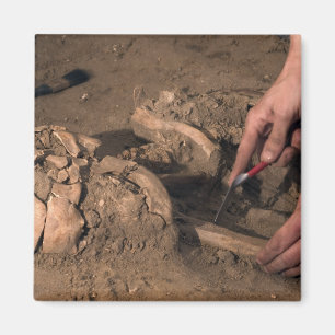 Menselijke resten magneet