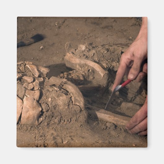 Menselijke resten magneet (Voorkant)