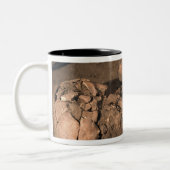 Menselijke resten tweekleurige koffiemok (Links)
