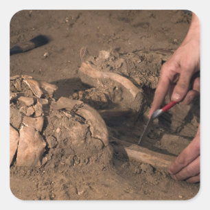 Menselijke resten vierkante sticker