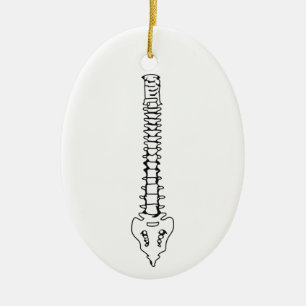Menselijke ruggengraat keramisch ornament