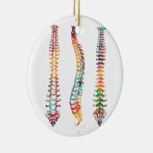 Menselijke ruggengraat keramisch ornament (Rechts)