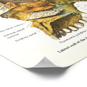 Menselijke schedel Anatomie Grafiek 24 x 36 Poster (Hoek)