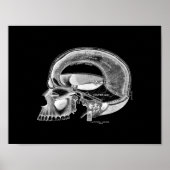 Menselijke schedel Anatomie in zwart-wit afdrukken Poster (Voorkant)