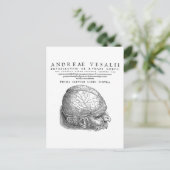 Menselijke schedel briefkaart (Staand voorkant)