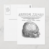 Menselijke schedel briefkaart (Voorkant / Achterkant)