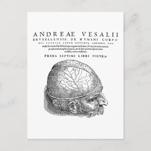 Menselijke schedel briefkaart (Voorkant)
