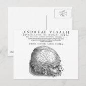 Menselijke schedel briefkaart (Voorkant / Achterkant)