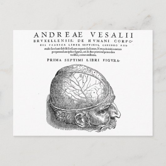 Menselijke schedel briefkaart (Voorkant)