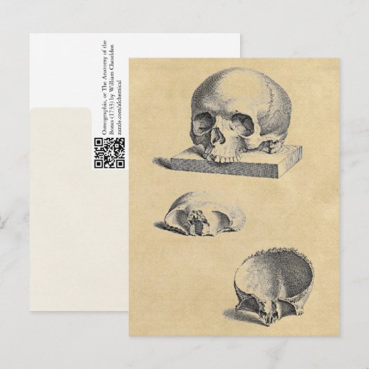 Menselijke schedel Medische anatomie Briefkaart (Voorkant / Achterkant)