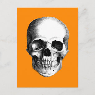 Menselijke schedel op Halloween Oranje Briefkaart