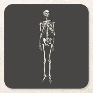 Menselijke skeletanatomie Pop Art striptekening Kartonnen Onderzetters