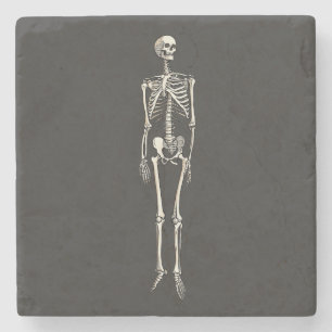 Menselijke skeletanatomie Pop Art striptekening Stenen Onderzetter