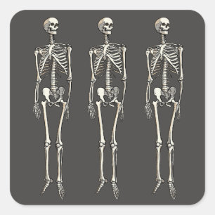 Menselijke skeletanatomie Pop Art striptekening Vierkante Sticker