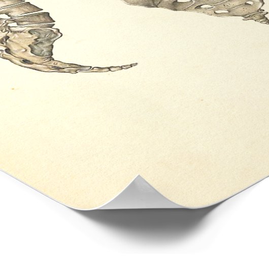 Menselijke Skeletanatomiegrafiek Poster (Hoek)