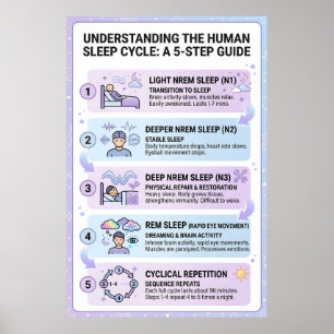 Menselijke slaapcyclus: een infographic met een ha poster