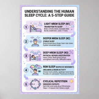 Menselijke slaapcyclus: een infographic met een ha poster