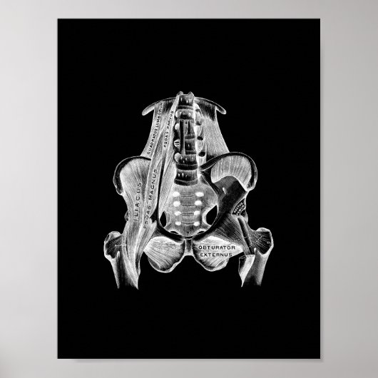 Menselijke spieranatomie in zwart-wit afdrukken poster (Voorkant)