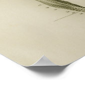 Menselijke spieren Anterieure  anatomie Afdrukken Poster (Hoek)