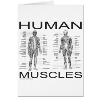 Menselijke spieren en anatomie