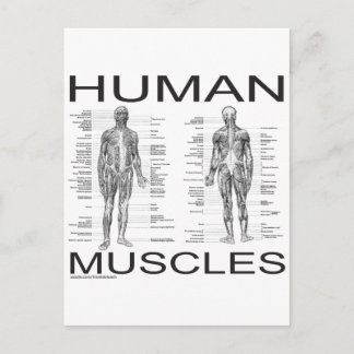 Menselijke spieren en anatomie briefkaart