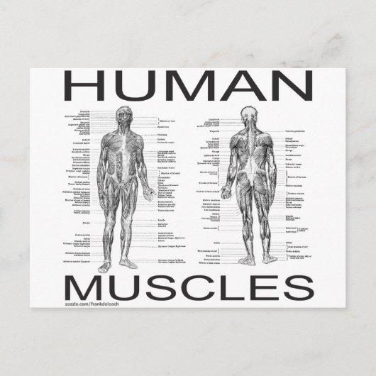 Menselijke spieren en anatomie briefkaart (Voorkant)
