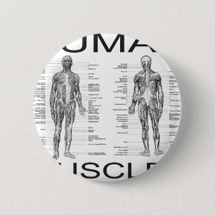 Menselijke spieren en anatomie ronde button 5,7 cm
