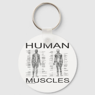 Menselijke spieren en anatomie sleutelhanger