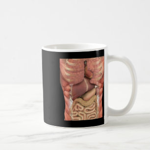 Menselijke spieren Organen Scary Anatomy Leraar Ha Koffiemok
