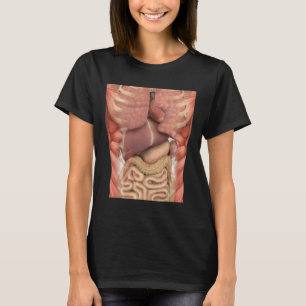 Menselijke spieren Organen Scary Anatomy Leraar Ha T-shirt