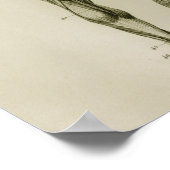 Menselijke spieren Posterior  Anatomie Print (Hoek)