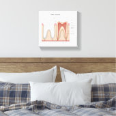 Menselijke Tand anatomie uitgerekte canvas print (Insitu (Slaapkamer))