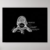 Menselijke vertebrae-anatomie in zwart-wit afdrukk poster (Voorkant)