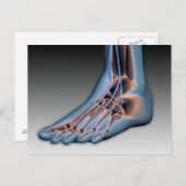 Menselijke voet met zenuwstelsel 1 briefkaart (Voorkant / Achterkant)