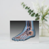 Menselijke voet met zenuwstelsel 1 briefkaart (Staand voorkant)