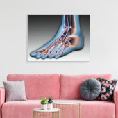 Menselijke voet met zenuwstelsel 1 canvas afdruk (Insitu (Woonkamer))