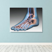 Menselijke voet met zenuwstelsel 1 canvas afdruk (Insitu (Houten vloer))