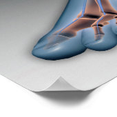 Menselijke voet met zenuwstelsel 1 poster (Hoek)