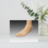 Menselijke voet met zenuwstelsel 2 briefkaart (Staand voorkant)